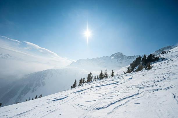 Hotel Les Alpes Allevard Zewnętrze zdjęcie